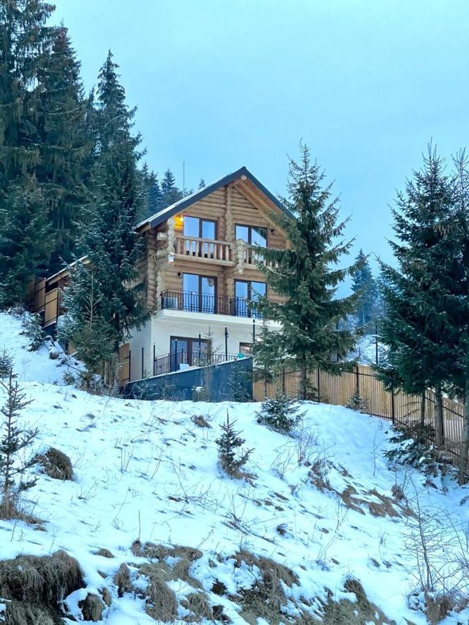 Chalet Du Lac Colibiţa Exteriör bild